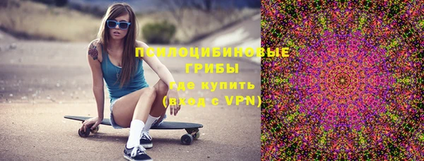 apvp Богородицк