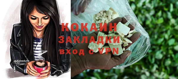 винт Богданович